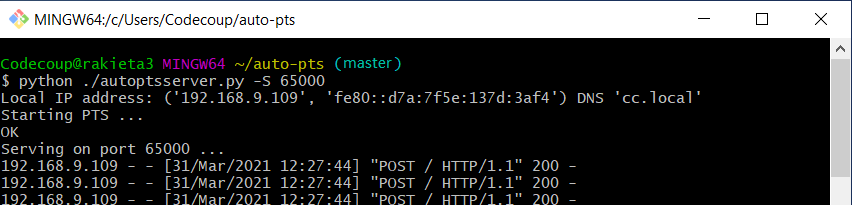 AutoPTS server on Windows