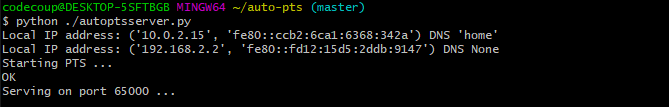 AutoPTS server running on Windows VM