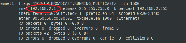 ifconfig host IP output